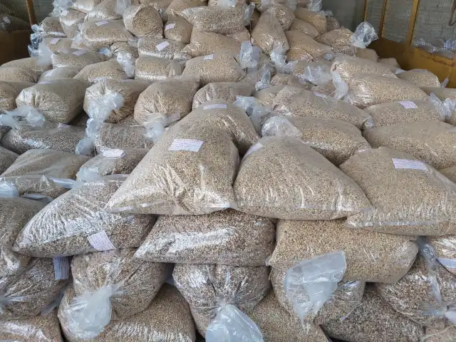 LEILAO SENSACIONAL DE REGUGO DE CASTANHA DE CAJU TIPO XEREM USIBRAS MOSSORO